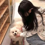 剑雨浮生录手游下载